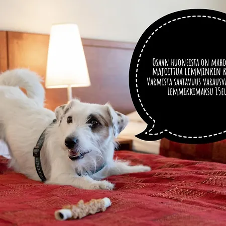 Отель Hotel Kokkola Коккола
