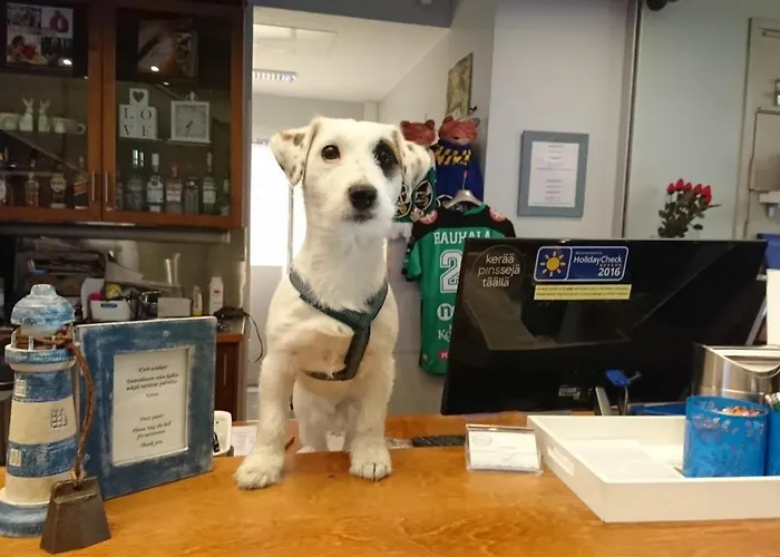 Hotel Hotel Kokkola 4*